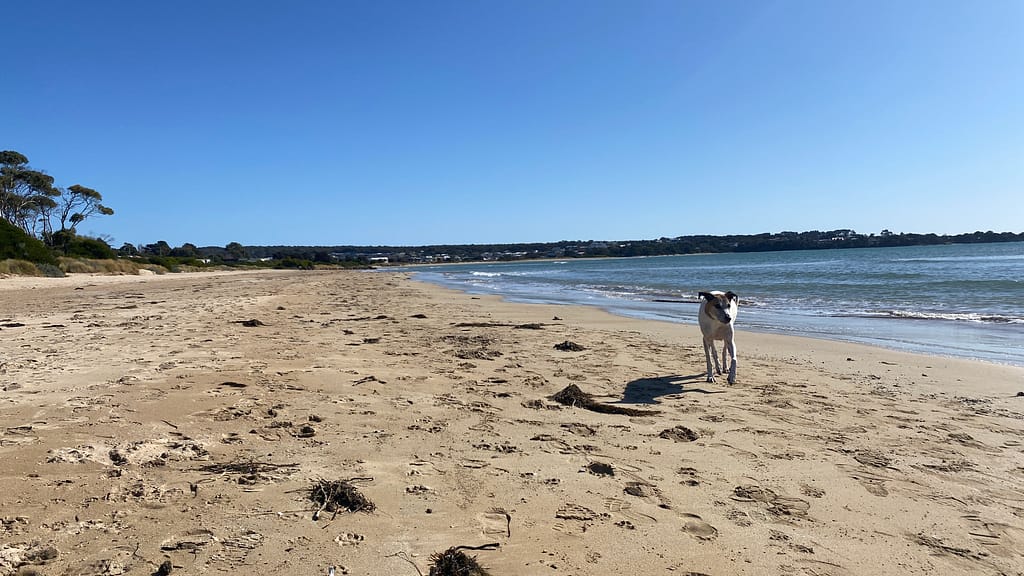 Sometimes showing up for yourself means taking the time to stroll on the beach, or keeping a promise to yourself.
