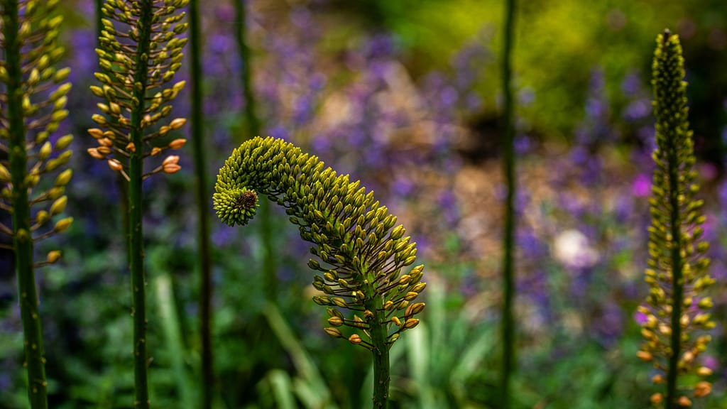 A plant - I don't know what, I'm not a gardener - bends and contorts itself, makes itself small. It should straighten up, stop shrinking itself for others, and show off its blooms.