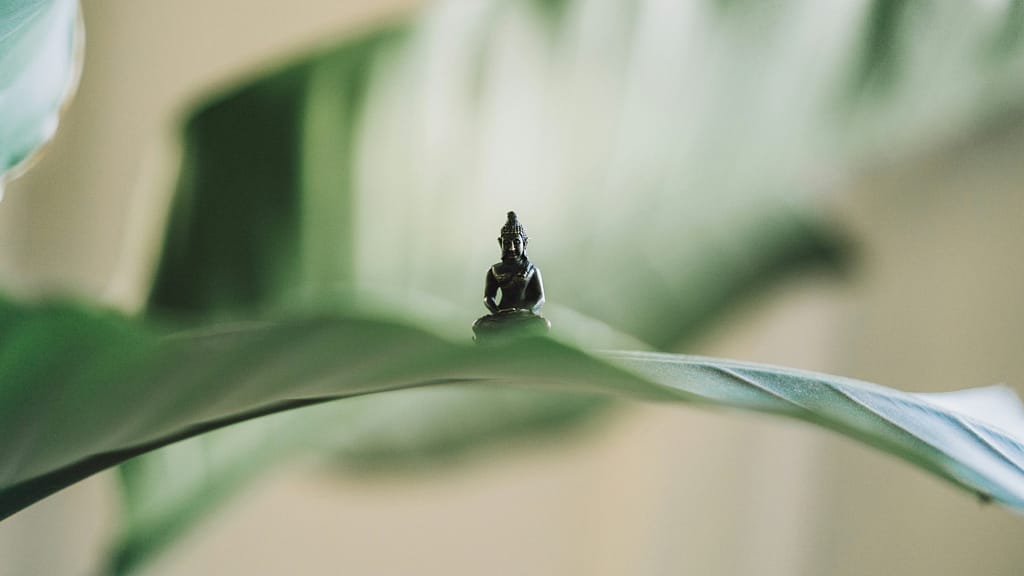 A tiny Buddha statue sits on top of a plant. Very serene, very present. Not at all how I feel.