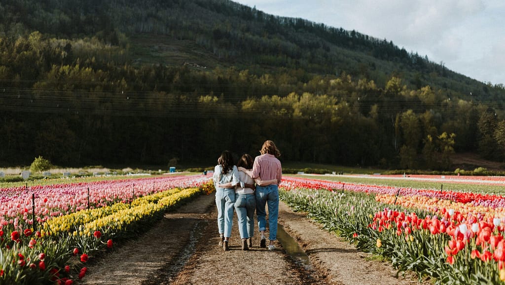 Three friends walk arm-in-arm through a field of tulips. They are walking away from the camera towards a tree covered mountain.
