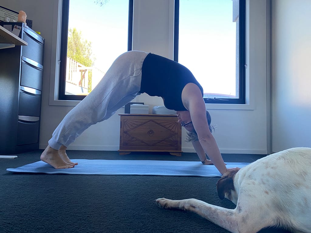 Em attempts a Downward Dog pose. Her shoulders are very rounded and her heels are off the floor.