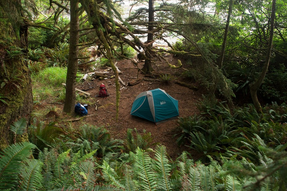 A two-person tent sits in the middle of small clearing. The area is lush and green and peaceful. You don't have to go to these lengths to undertake a digital detox.