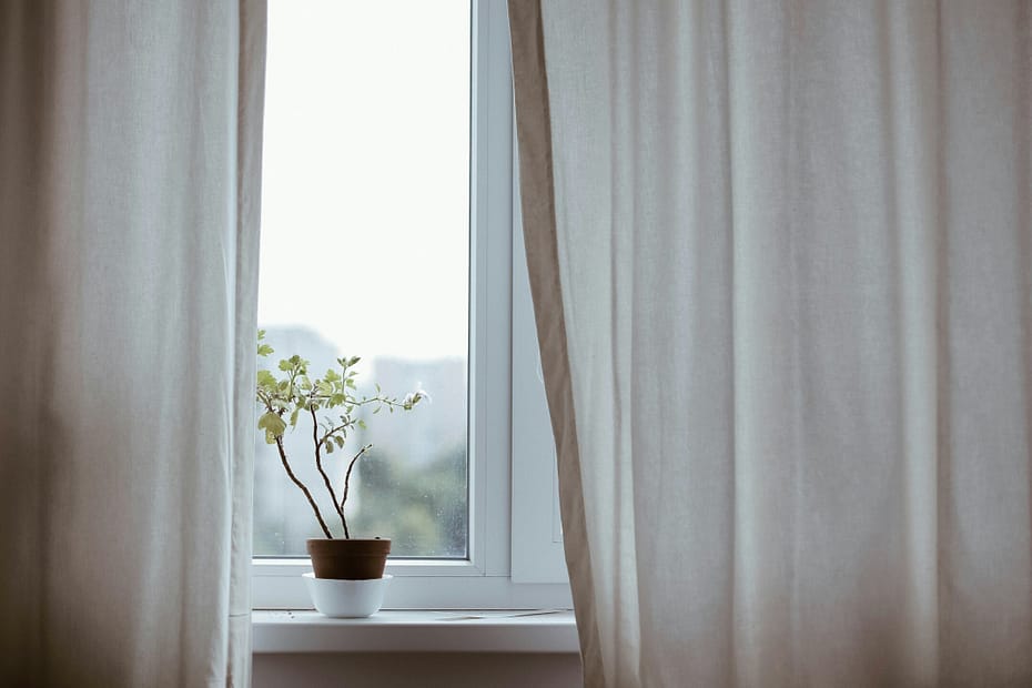 a pot plant sits on a window sill between curtains.
