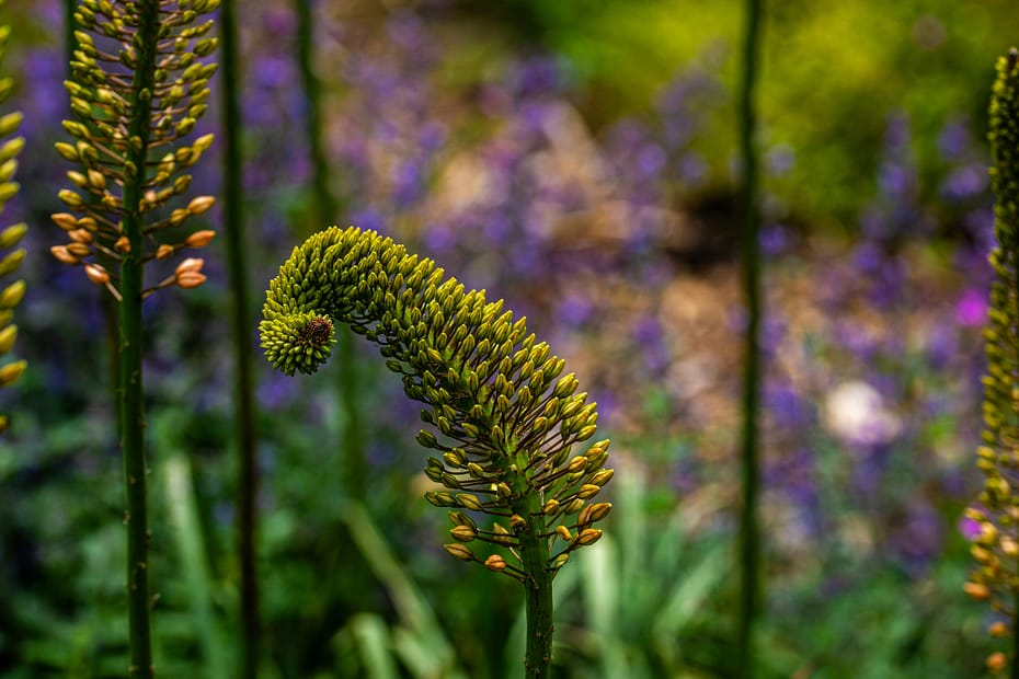 A plant - I don't know what, I'm not a gardener - bends and contorts itself, makes itself small. It should straighten up, stop shrinking itself for others, and show off its blooms.