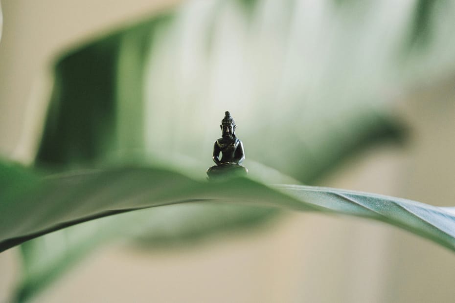 A small Buddha statue sits on a large leaf. Very calm.